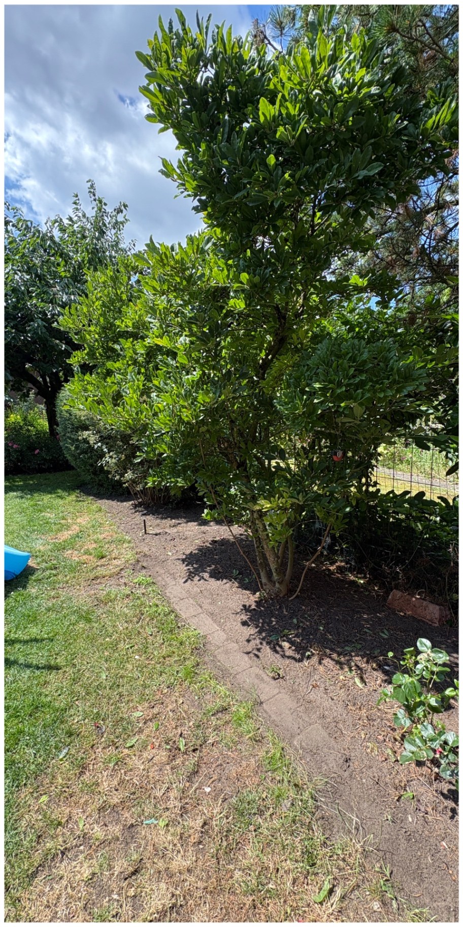 Neugestaltung Gartenweg