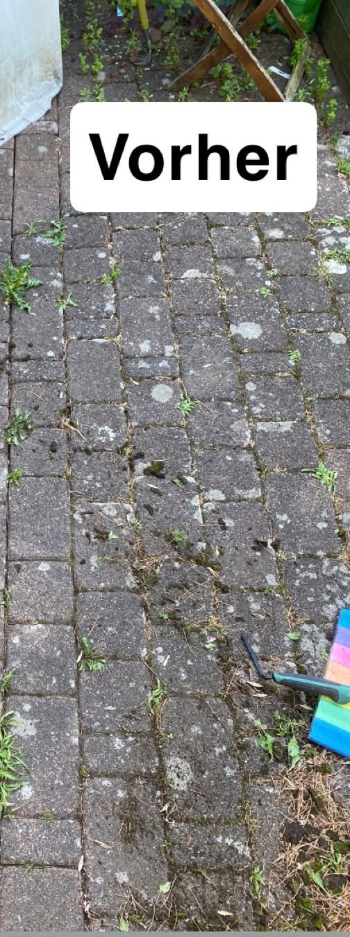 Pflasterreinigung Auffahrt — Vorher